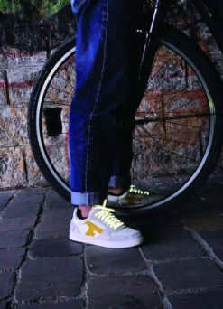 Lacets Réfléchissants - Rainette