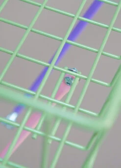 Le Panier Infrared Made In France - Manivelle -Jesuis à Vélo Soldes le panier infrared made in france manivelle 4