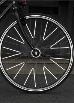 Réflecteurs De Rayons Longs - Rainette